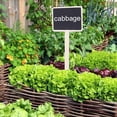 thumbnail image 4 of LYUMO 10Pcs Plant Sign Tag Plants Flower Price Tag Mini Message Blackboard Garden Deco, 4 of 8