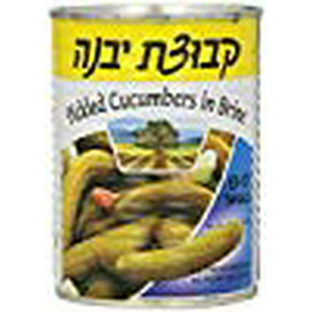 Kvuzat Yavne Pickled Cucumbers In Brine KFP 13-17 Small19 Oz. Pk Of