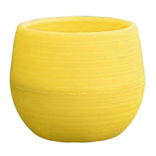/Cactus tenedor bonsái agujero de Amarillo Sunnimix mini macetas suculentas