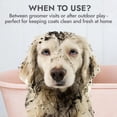 thumbnail image 4 of Shampooing pour Chien KONG Parfum Avoine et Miel 473 ml, 4 of 9