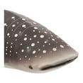 thumbnail image 3 of MOJO - Realistic International Wildlife Figurine, Whale Shark, 3 of 8
