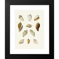 thumbnail image 2 of Heinrich Carl Küster 19x24 Black Modern Framed Museum Art Print Titled - The Wing Snails (Strombea) Pl.13 (1845), 2 of 5