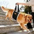 thumbnail image 5 of Dog Support Belt Foldable Design Comfort Gripping Handle Adjustable Strap For Small to Large Dogs Walking Training, 5 of 9