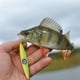 thumbnail image 2 of Hundimiento Vertical Jigging Cebo Plano Otoño Plantilla Pesca Lento Señuelo Lenta 120g 150g 200g Luminoso Con para en Alta Mar, 2 of 9