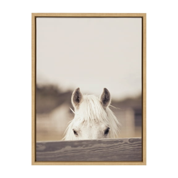 Kate and Laurel Sylvie Equine Framed Canvas Wall Art by Robert Cadloff of Bomobob 18x24 Natural Decorative Horse Art for Wall