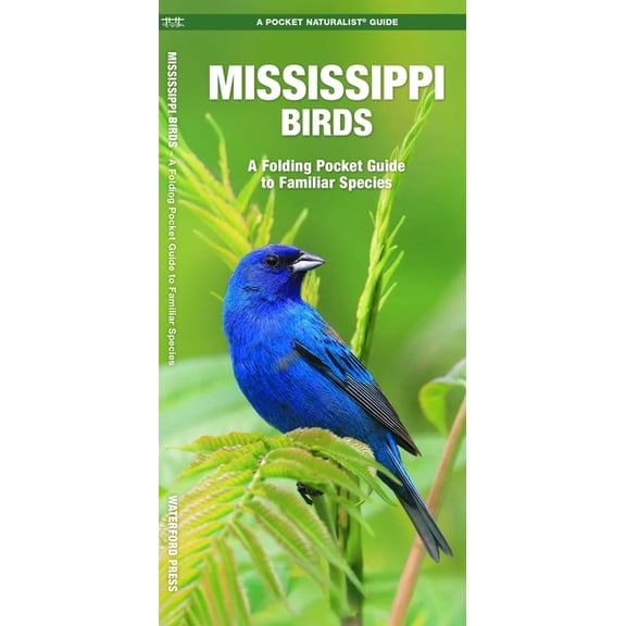 State Nature Guides: Mississippi Birds: A Folding Pocket Guide to Familiar Species (Paperback)