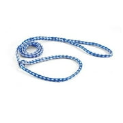 Downtown Pet Supply Universal Slip Lead Dog Leash, Braided Slip Leash, Light Blue