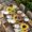 Brown, variant on Sunflower Table Cloths for 6 Foot Rectangle Tables, Yellow Flowers Summer Botanical Wooden Retro Art Patio Waterproof Elastic Fitted Tablecloths, Washable Rectangular Table Cover for Camping
