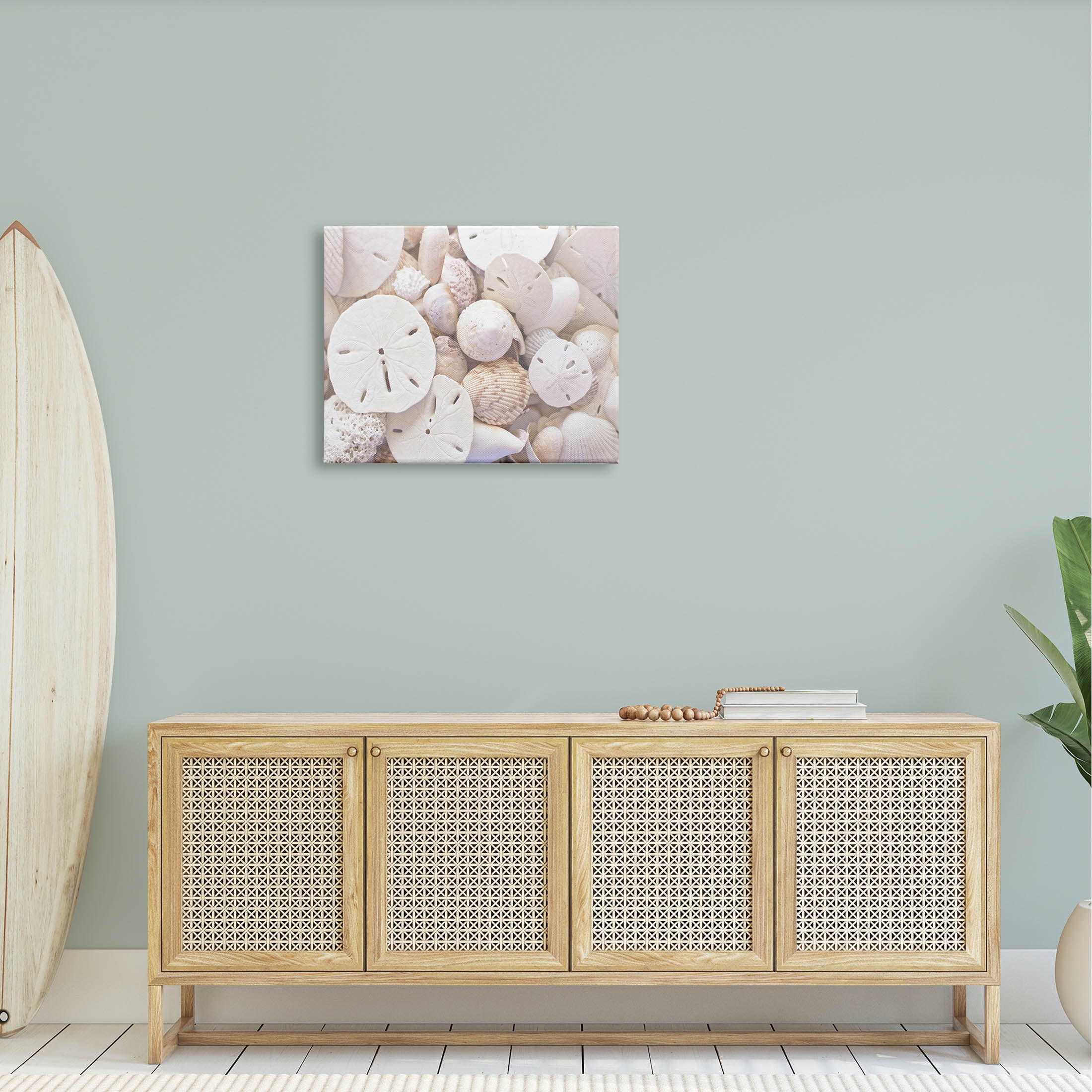 White Mixed Sand Dollar Shells Coastal Photograph Gallery Wrapped Canvas Print Wall Art
