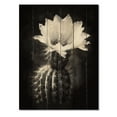 thumbnail image 3 of Designart "Black White Cactus Minimal Collage Monochromatic Succulents" Floral Print on Natural Pine Wood, 3 of 5