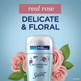 thumbnail image 3 of Desodorante Secret sin aluminio, sin aroma a rosas, 70 ml, para mujer, x3, 3 of 8