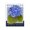 Hydrangea Flower Market Blossom, variant on Stupell Industries Traditional Ranunculus Flower Market Canvas Art, 16 x 20, by Jennifer Stith