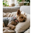 thumbnail image 5 of Dog Collars for Small Dogs, Reflective Nylon Pet Collar with Quick Release Buckle, Small Dog Collar for Boys, 5 of 9