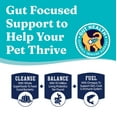 thumbnail image 5 of Solid Gold Love at First Bark Grain Free Dry Puppy Food, Chicken, 4 lb. (Dog), 5 of 7
