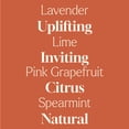 thumbnail image 4 of Plant Therapy Home Sparkling Grapefruit Laundry Essential Oil Blend 10 mL (1/3 oz) Pure, Undiluted, Wash Fragrance and Scent Enhancer, 4 of 10