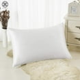 thumbnail image 4 of Luxtrada Set of 2 Solid Color Pillowcases Pillow Cover for Home Bedroom Hotel Travel (Queen Size,White), 4 of 9