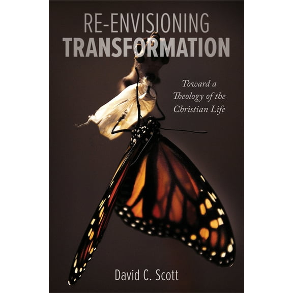Re-Envisioning Transformation (Paperback)