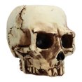 thumbnail image 1 of Skeleton Head Planter, Skull Head Planter Multipurpose Exquisite High Strength  For Office, 1 of 8