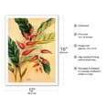 thumbnail image 2 of Heliconia Flower - Vintage Hawaiian Airbrush Art by Frank Oda (Hale Pua Studio) c.1940s - Bamboo Fine Art 290gsm Paper (Unframed) 12x16in, 2 of 4