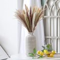 thumbnail image 2 of 80 Piezas, 45 cm Cola de Conejo Blanco Seca Natural Polvo de Trigo Planta de Hierba de Pampa Decoración Boho, 2 of 5