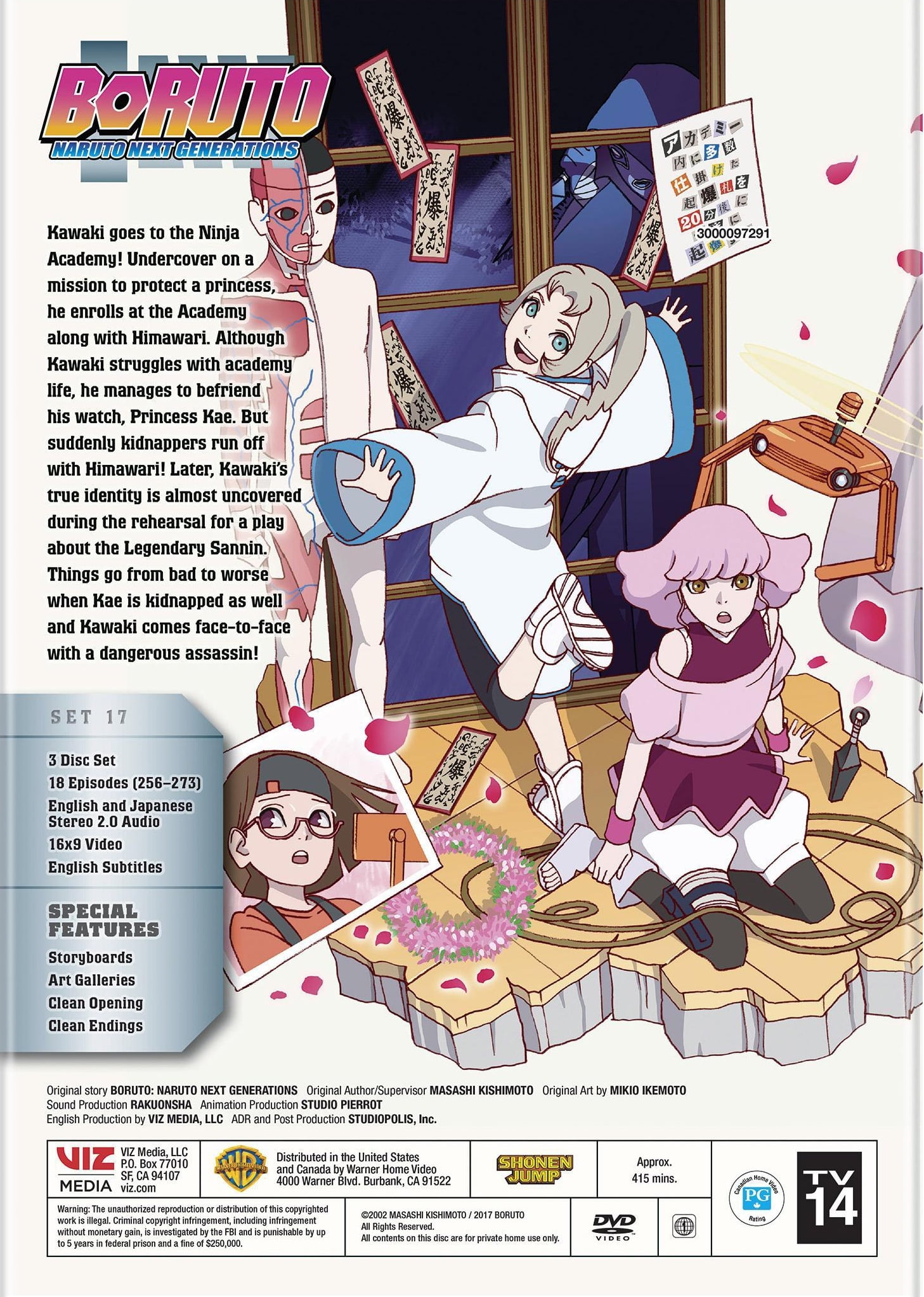 Boruto: Naruto Next Generations - Kawaki Goes Undercover (DVD