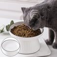 thumbnail image 3 of Ceramic Raised Cat Dishes or Dog Bowl, Pet Food or Water Bowls without pattern, 3 of 5