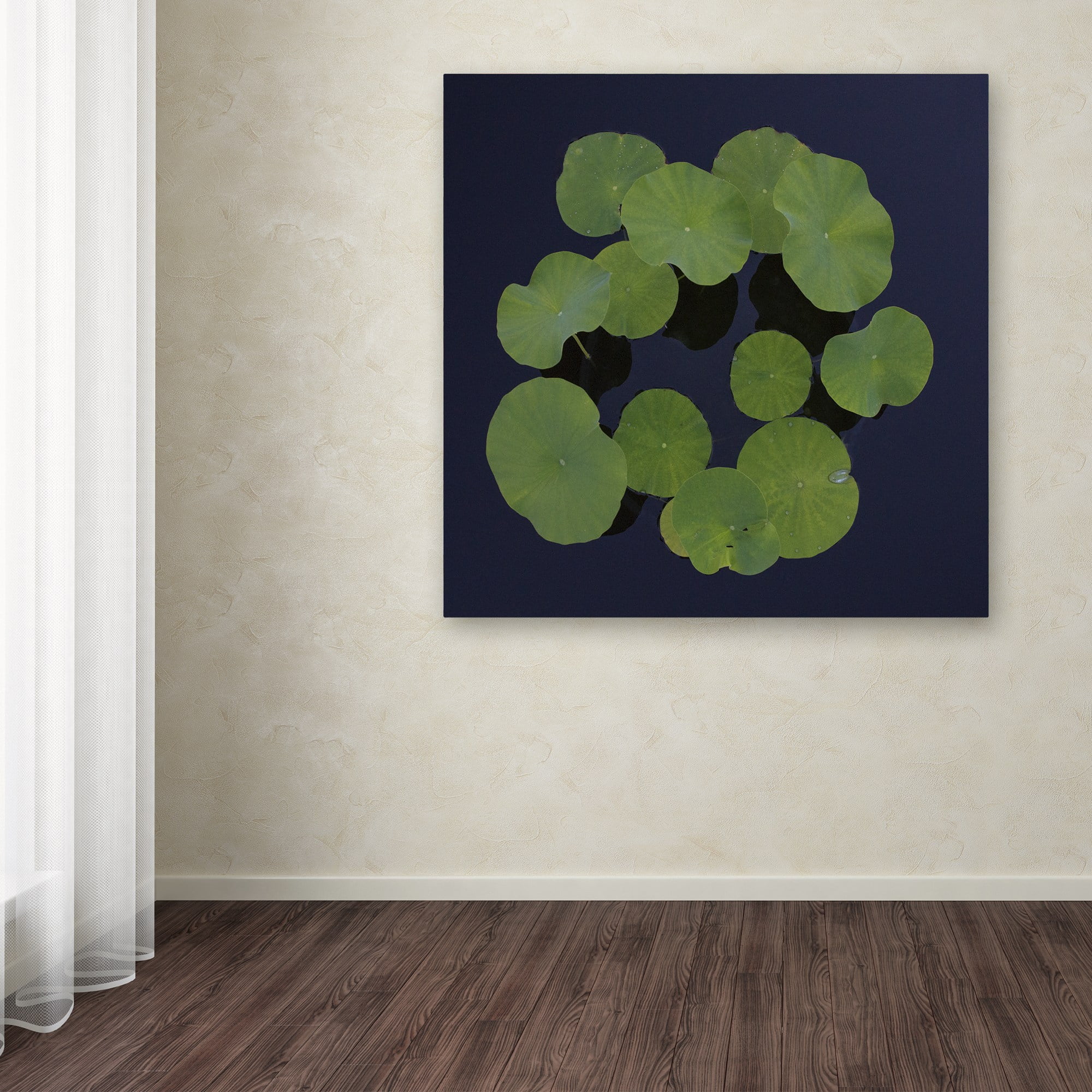 Trademark Fine Art "Giant Lily Pad Abstract" Canvas Art by Kurt Shaffer