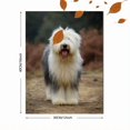 thumbnail image 3 of Qisvanset Sheepdog Portrait Canvas Print 12x16 Inch Entryway Decor, 3 of 8