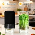 thumbnail image 3 of Sprouting Jar Kit Include 1000ml Sprouting Jar, Stand, Tray, Lid for Broccoli Microgreens Seeds, 3 of 9