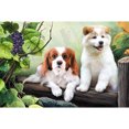 thumbnail image 1 of Cuadros Decorativos 5D bricolaje taladro completo diamante pintura perros Cruz puntada bordado pedrería mosaico Kits DQrwqpou Nuevos Originales, 1 of 7