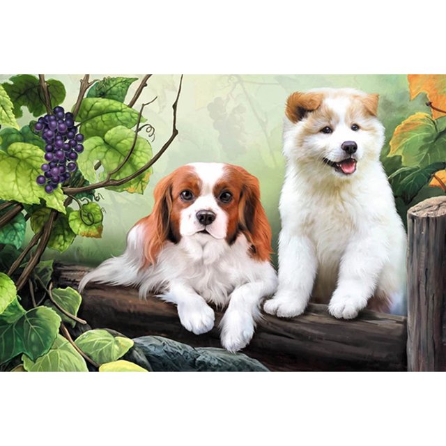 Cuadros Decorativos 5D bricolaje taladro completo diamante pintura perros Cruz puntada bordado pedrería mosaico Kits DQrwqpou Nuevos Originales