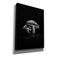 thumbnail image 2 of Epic Graffiti 'Toadstools On A Trail No 2' by Brian Carson, Giclee Canvas Wall Art, 12"x16", 2 of 8