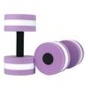 HOARBOEG Aquatic Exercise Dumbbells Set of 2, Water Aqua Fitness Foam Dumbbells Pool Resistance Exercise, Purple