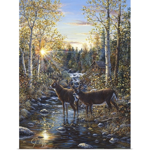 Great BIG Canvas | Rolled Jeff Tift Poster Print entitled Whitetail Deer