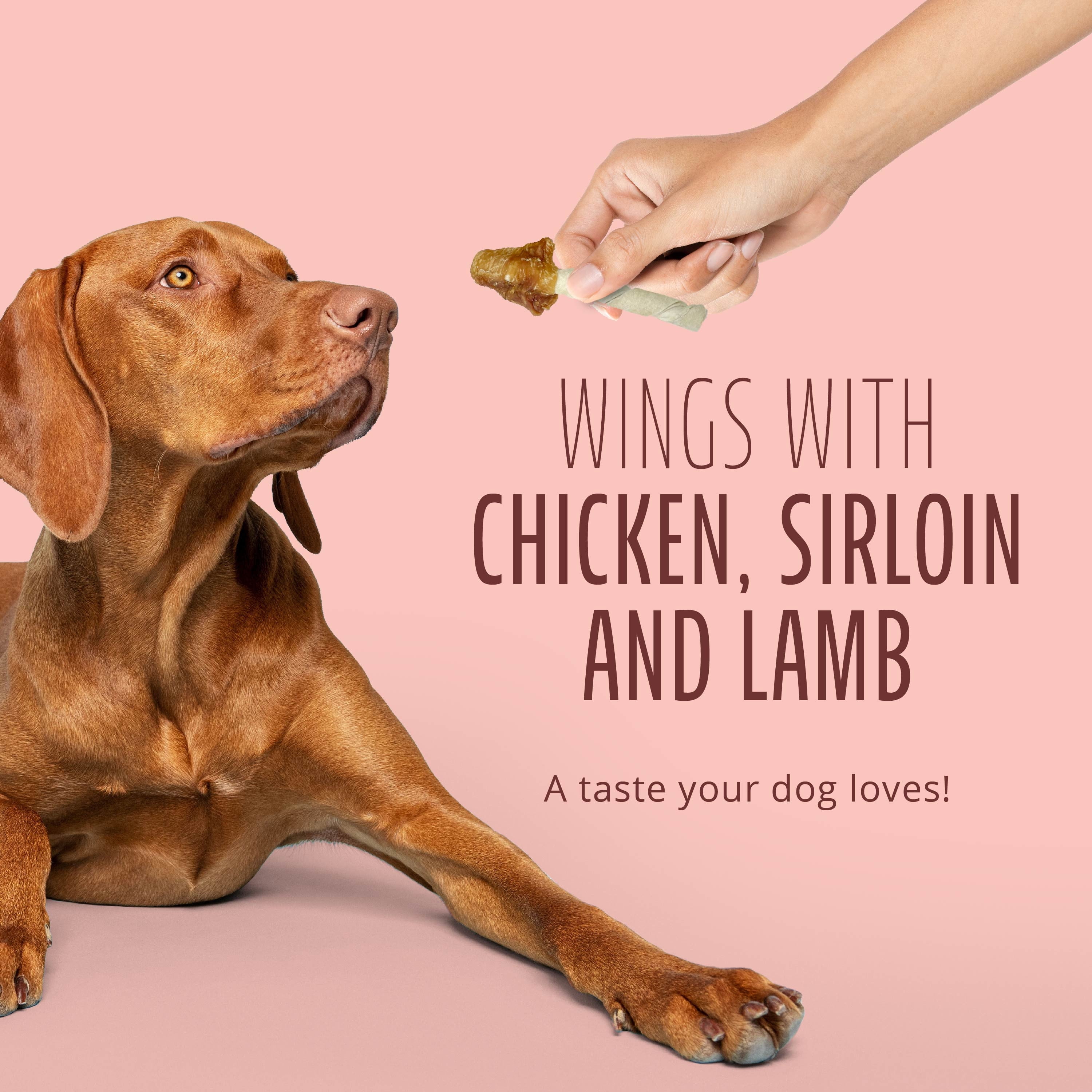 Better Belly Triple Flavor Wings with Chicken, Sirloin & Lamb, Highly Digestible Rawhide, 10 Count