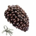 thumbnail image 5 of ZHZFKQ 2026 New Hide A Key,Garden Key Hider,Pinecone Spare Keys Box Outdoor Garden Security Diversion Safe Storage Case Lifelike Key Box, 5 of 6