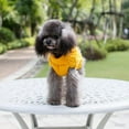 thumbnail image 2 of EASTIN Turtleneck Classic Straw-Rope Pet Dog Sweater Apparel, 2 of 11