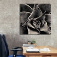 thumbnail image 6 of Epic Graffiti 'Seattle Succulents' by Gary Horsfall, Giclee Canvas Wall Art, 37"x37", 6 of 8