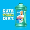 thumbnail image 6 of Mr. Clean with Febreze Meadows and Rain Multi-Surface Cleaner, 45 fl oz, 6 of 11