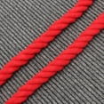 thumbnail image 3 of BESTOYARD Training Rope Red Cotton Leash Daily Use 1Set, 3 of 4