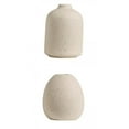 thumbnail image 1 of 2x Nordic Flower Vases Ornament Decorative Vases Boho for Home Dinner Baoblaze none, 1 of 5