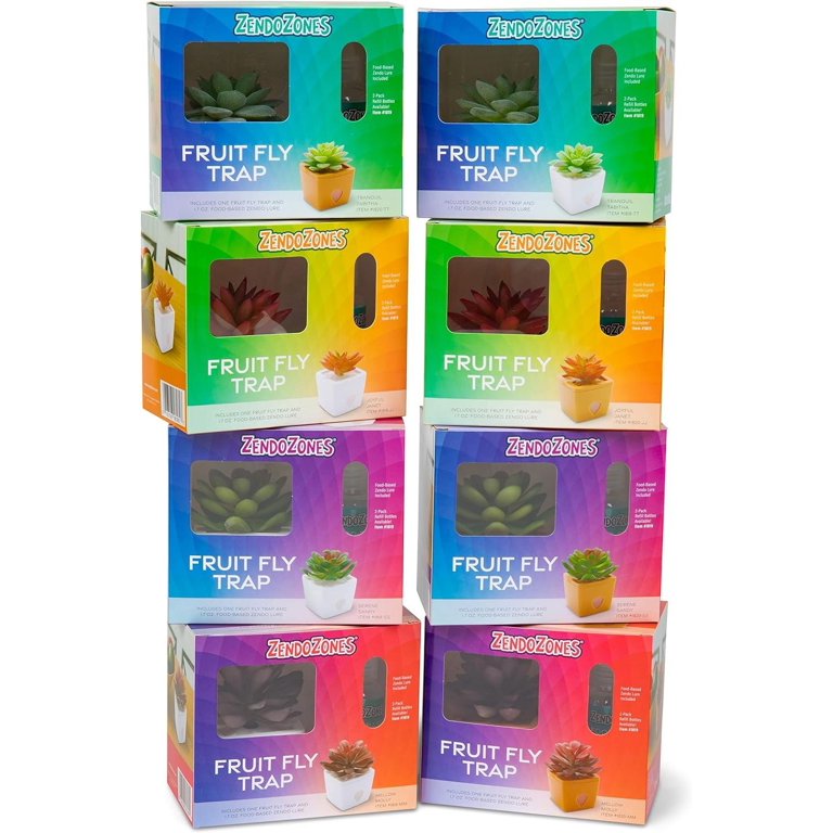 4個セット　jitte+ ジッテプラス 60g 4個セット jitte+ ジッテプラス 60g 【公式通販】