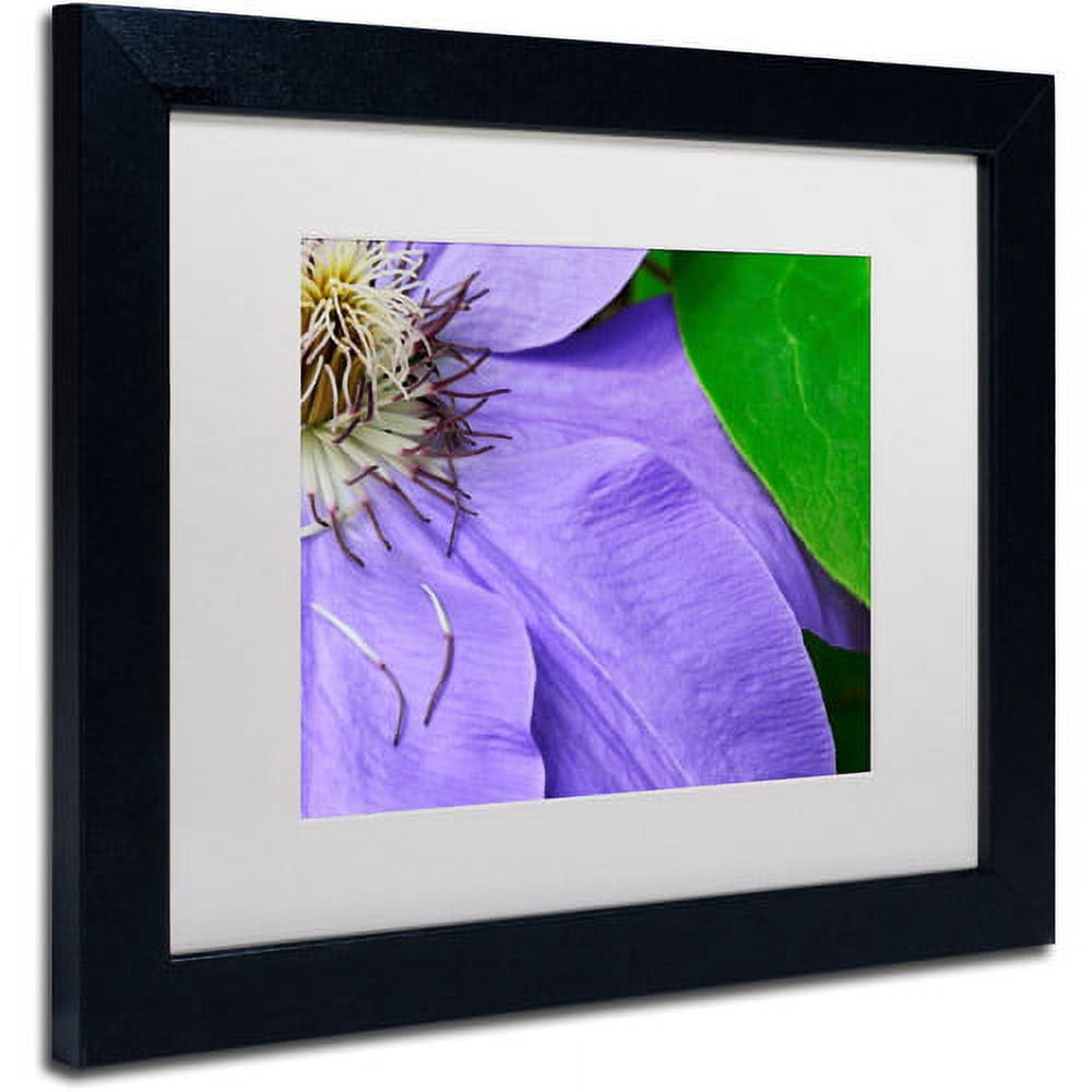Trademark Fine Art "Clematis Abstract" Canvas Art by Kurt Shaffer White Matte, Black Frame