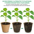 thumbnail image 2 of Xiao Hua 50 macetas de turba espesa, kit de inicio de plántulas biodegradables y ecológicas de 3,15 pulgadas, bandejas de germinación de semillas., 2 of 5