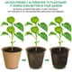 thumbnail image 2 of Nvzi 50 macetas de turba espesa, kit de inicio de plántulas de plantas biodegradables y ecológicas de 3,15 pulgadas, bandejas de germinación de semillas, 2 of 5