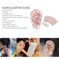 thumbnail image 3 of Ear Acupuncture Model, Carved Acupoint Relieve Discomfort 600pcs Auricular Patches Ear Acupuncture Probe  for Salon Use, 3 of 8