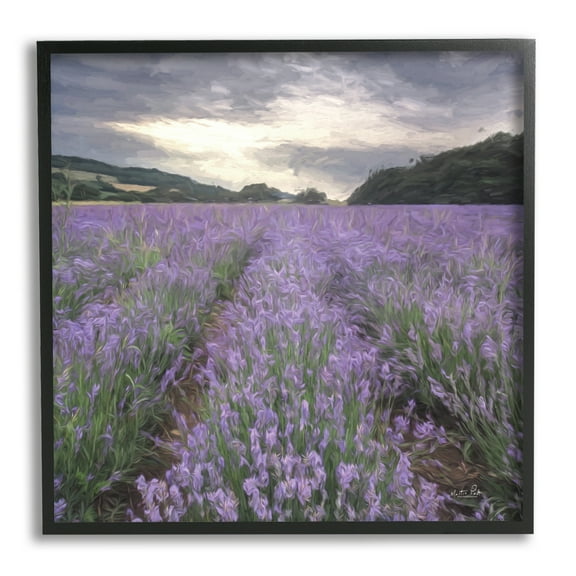 Stupell Lavender Fields Sunlit Clouds Botanical & Floral Photography Black Framed Art Print Wall Art