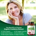 thumbnail image 5 of Zazzee Organic Cranberry 500 mg per Capsule – 100 Vegan Capsules – 25:1 Extract – Supports UTI Wellness & Urinary Tract Health – Vegan • Non-GMO • Kosher • Made in USA, 5 of 12