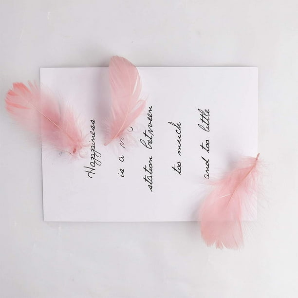 450 Pieces Pink Feathers for Craft Wedding Home Party Decorations