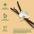 thumbnail image 3 of Activia Vanilla Low Fat Probiotic Yogurt Cups, Helps Support Gut Health, 4 oz, 4 Count, 3 of 14